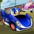 Sonic Race Puzzle