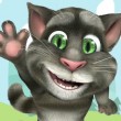 Play Talking Cat Box Adventure Game Free