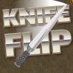 Play Flippy Knife Game Free