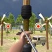 Play Archery Expert 3D Game Free