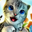 Play Cat Simulator: Kitty Craft Game Free