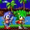 Sonic Brother Trouble