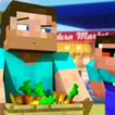 Play Steve and Noobs Shop Game Free