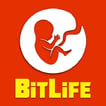 Play BITLIFE LIFE SIMULATOR Game Free