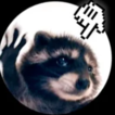 pedro-clicker--evolution-of-the-raccoon